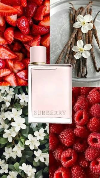 عطر ادکلن باربری هر ادوپرفیوم زنانه