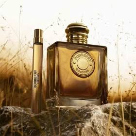 عطر باربری گادس